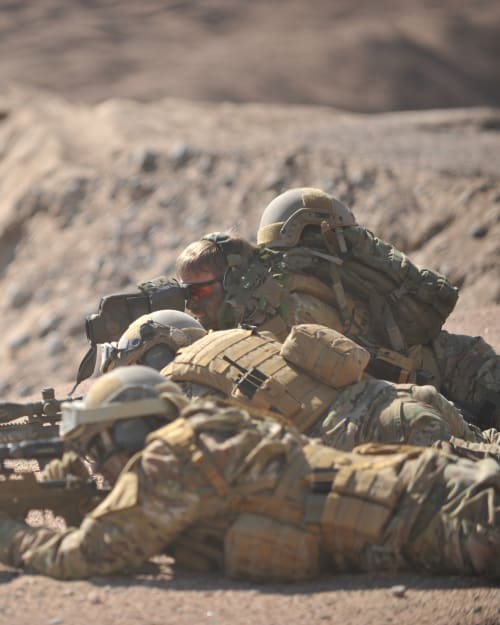 Defence and Law Enforcement - Weapon Systems Accessories